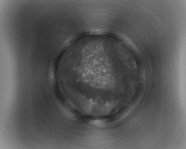 X0000113280312200910051045