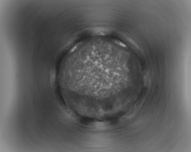 X0000113280314200910051045