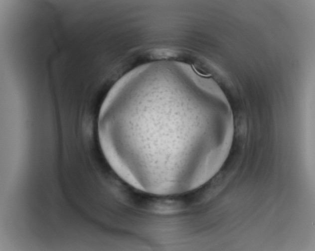 X0000113280315200910051045