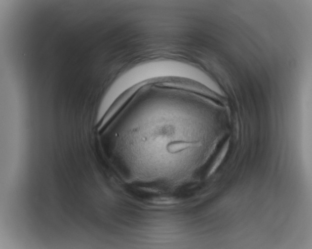 X0000113280316200910051045