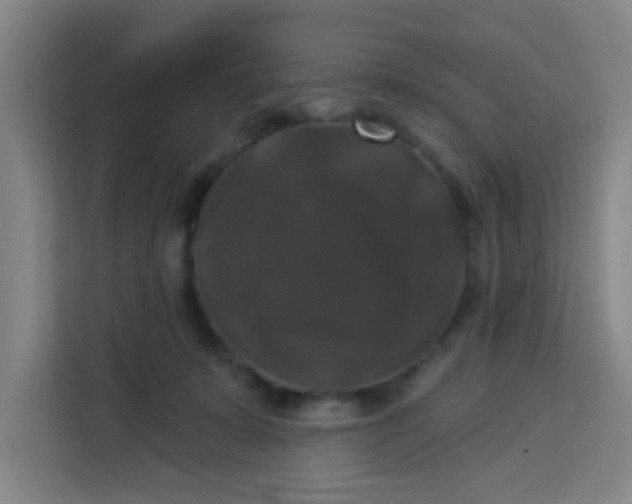 X0000113280319200910051045