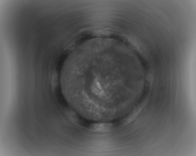 X0000113280323200910051045