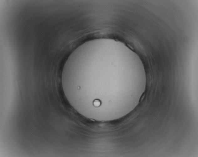 X0000113280324200910051045