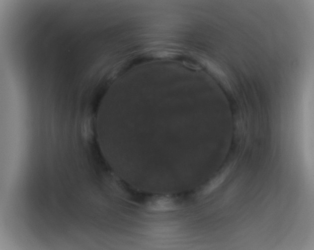 X0000113280325200910051045