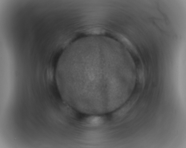 X0000113280326200910051045