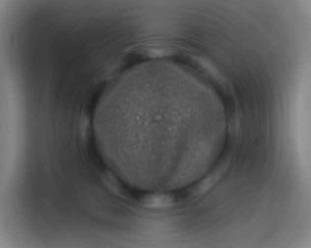 X0000113280327200910051045