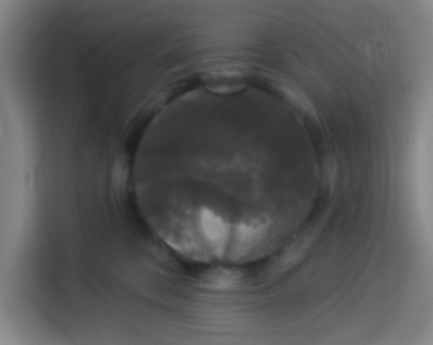 X0000113280328200910051045