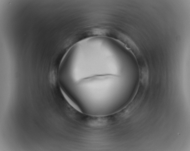 X0000113280329200910051045