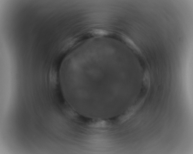 X0000113280330200910051045