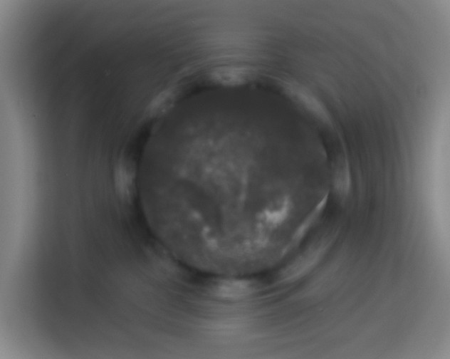 X0000113280332200910051045