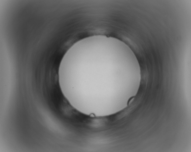 X0000113280334200910051045