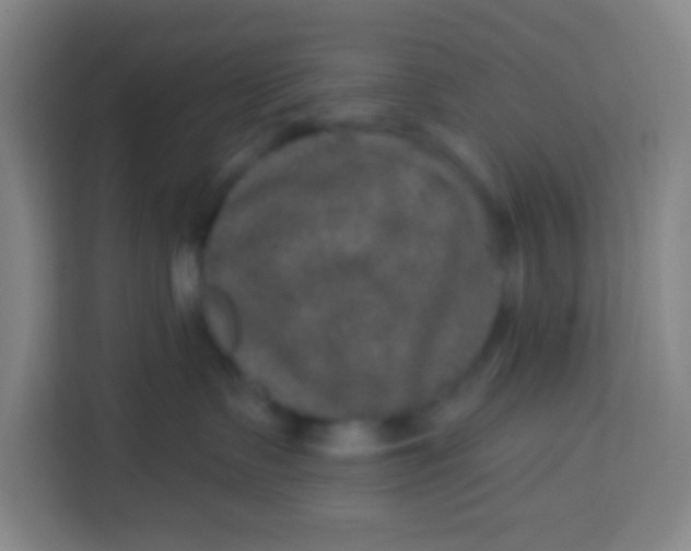 X0000113280335200910051045