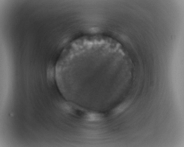 X0000113280336200910051045