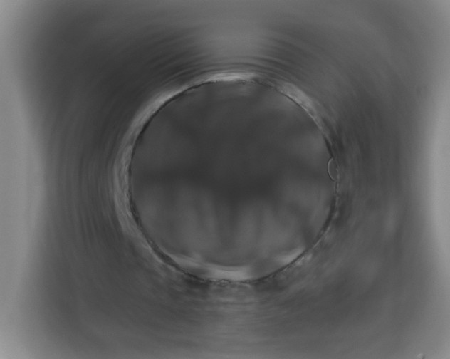 X0000113280337200910051045