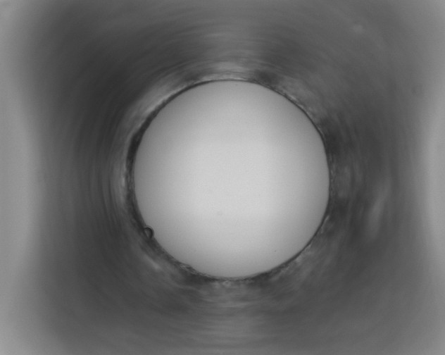 X0000113280338200910051045