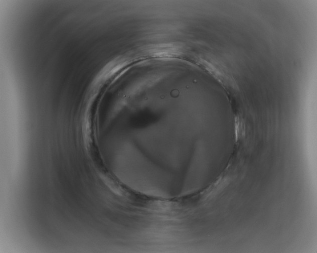 X0000113280339200910051045