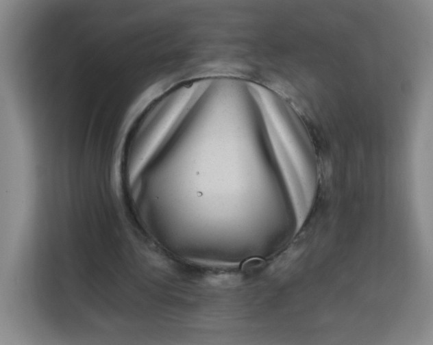 X0000113280340200910051045