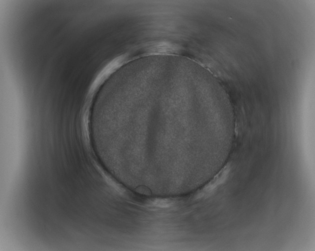 X0000113280341200910051045