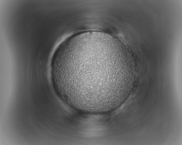 X0000113280342200910051045