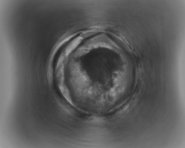 X0000113280343200910051045