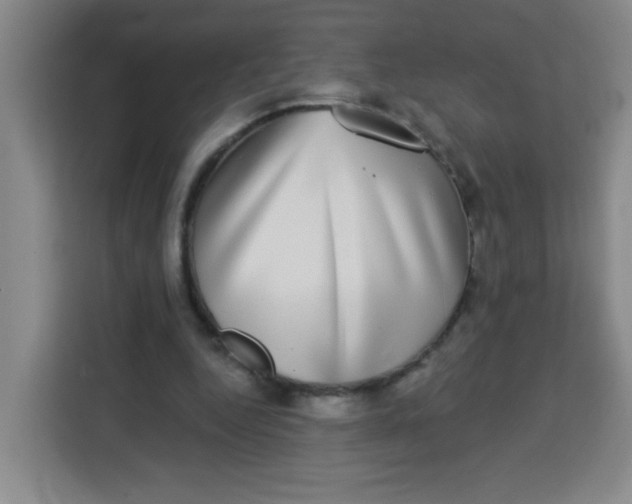 X0000113280344200910051045