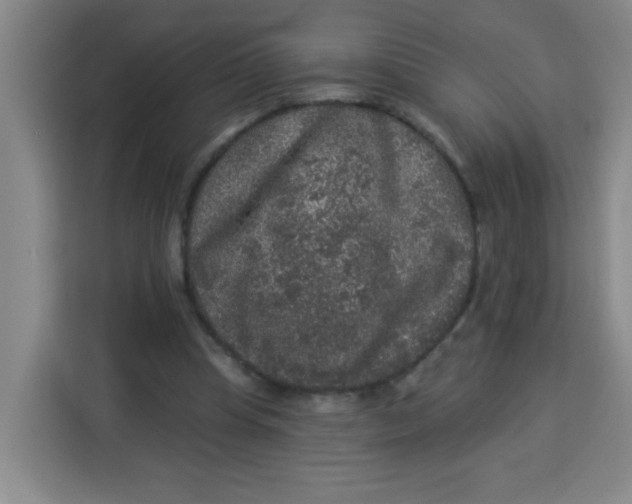 X0000113280345200910051045