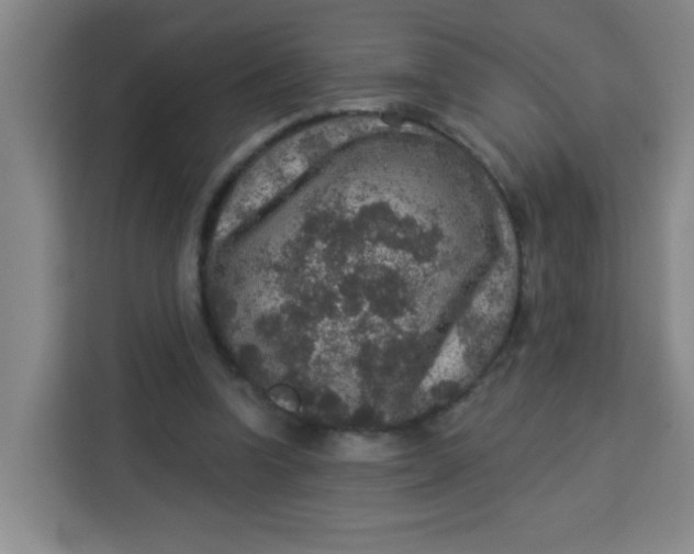 X0000113280346200910051045