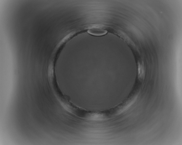 X0000113280348200910051045