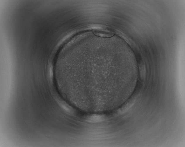 X0000113280350200910051045