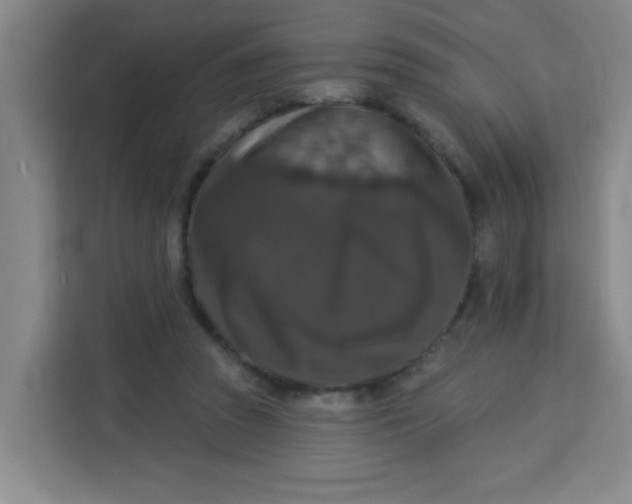 X0000113280353200910051045