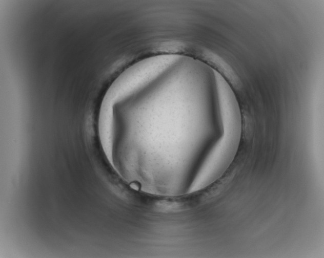 X0000113280354200910051045