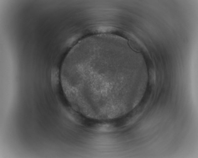 X0000113280356200910051045