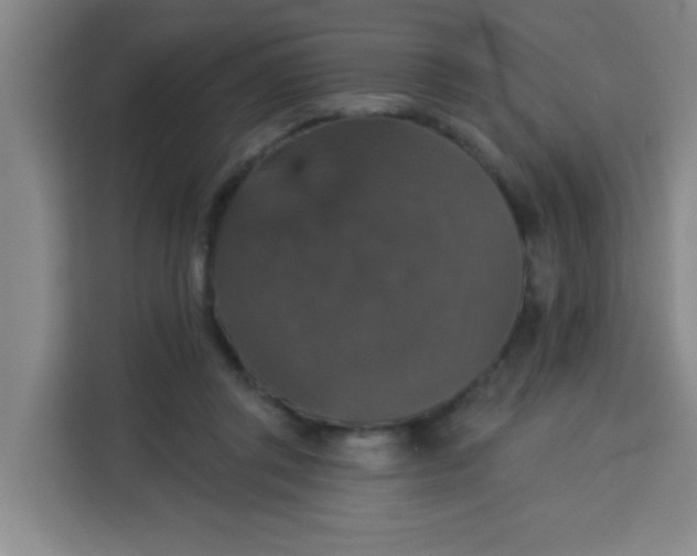 X0000113280357200910051045