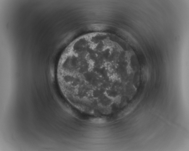 X0000113280358200910051045