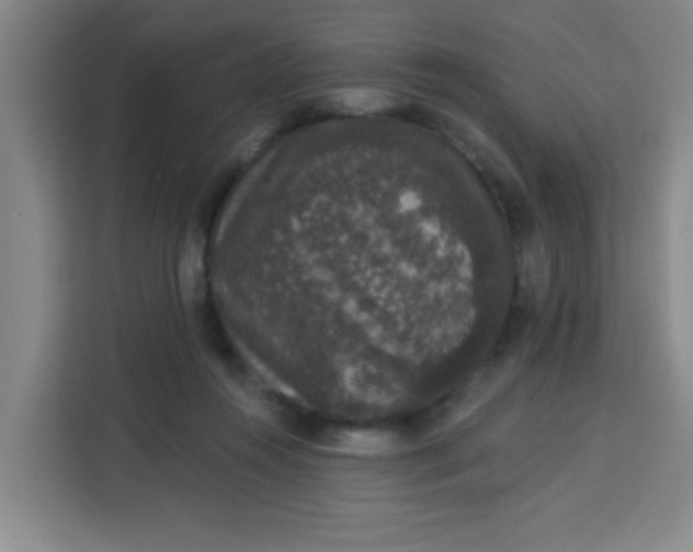 X0000113280360200910051045