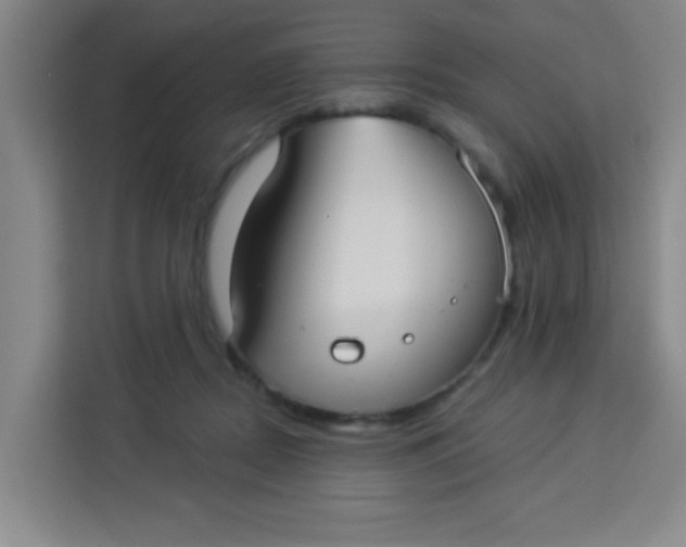 X0000113280362200910051045