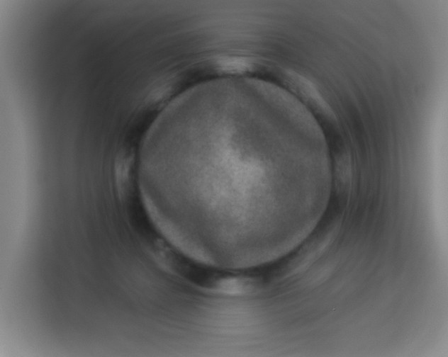 X0000113280364200910051045