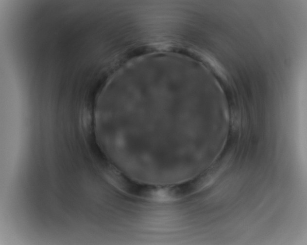 X0000113280365200910051045