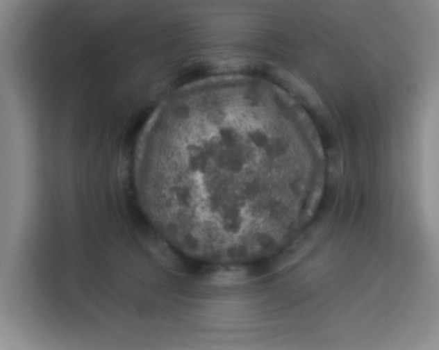 X0000113280369200910051045