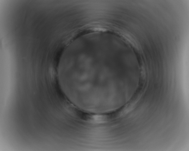 X0000113280371200910051045