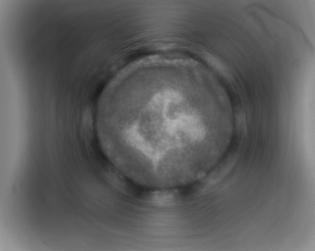 X0000113280373200910051045