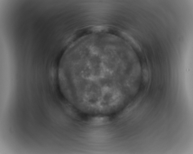 X0000113280375200910051045