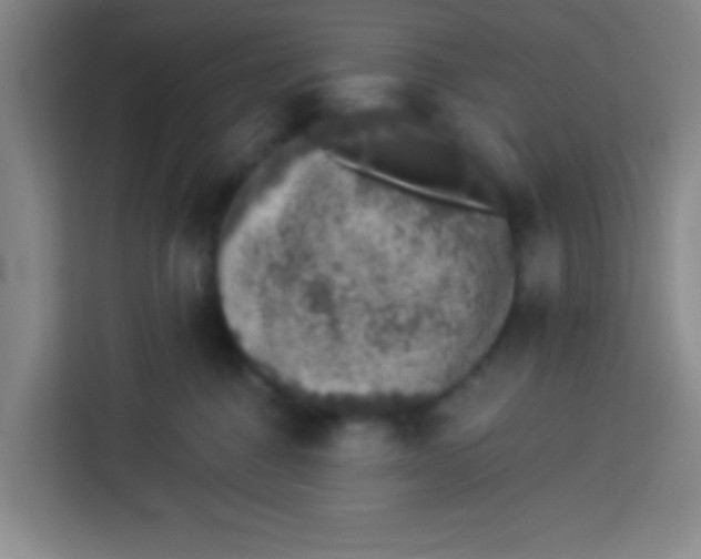 X0000113280376200910051045