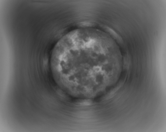 X0000113280377200910051045