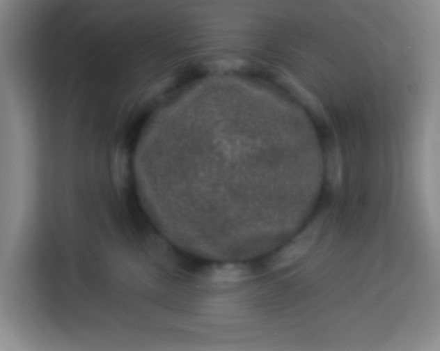 X0000113280378200910051045