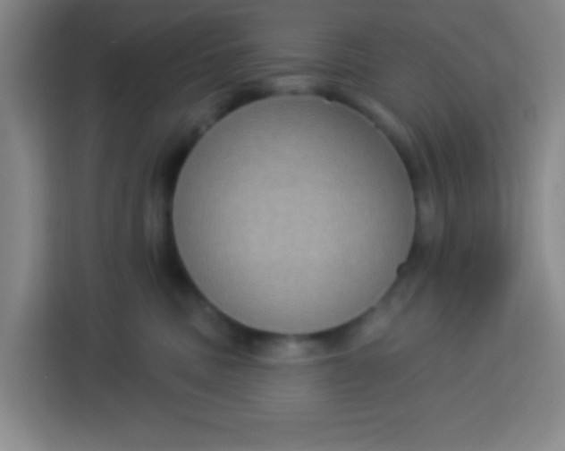 X0000113280379200910051045