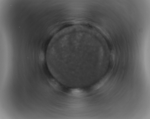 X0000113280380200910051045