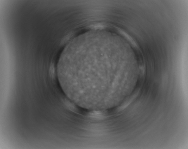 X0000113280381200910051045