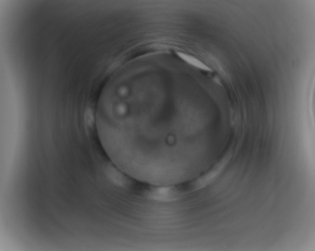 X0000113280382200910051045