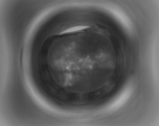 X0000113280383200910051045